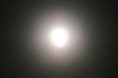 DSC_0739 (Large).JPG